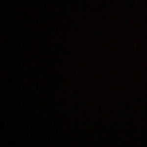 Meet your Posher, Luna